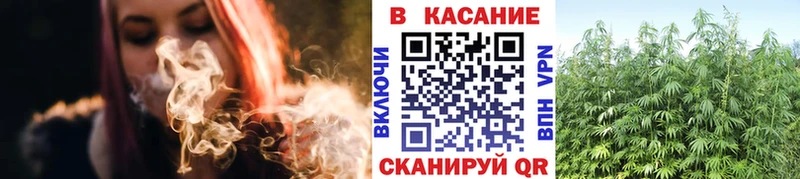 Где купить наркоту Стрежевой Галлюциногенные грибы  МЕГА зеркало  Альфа ПВП  ГАШИШ  Кокаин  Канабис  Меф 