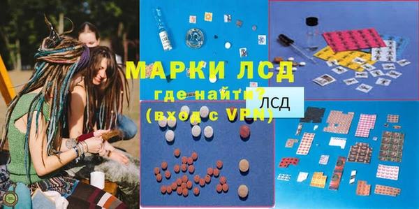 сатива Абинск