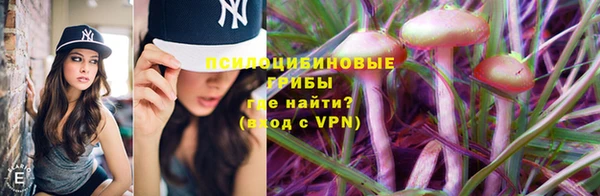 сатива Абинск