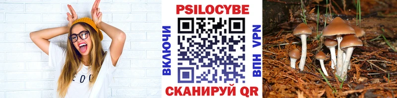 ОМГ ОМГ онион  Стрежевой  Галлюциногенные грибы Cubensis 